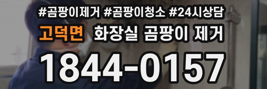 고덕면 화장실 곰팡이 제거