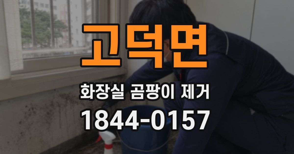 고덕면 화장실 곰팡이 제거