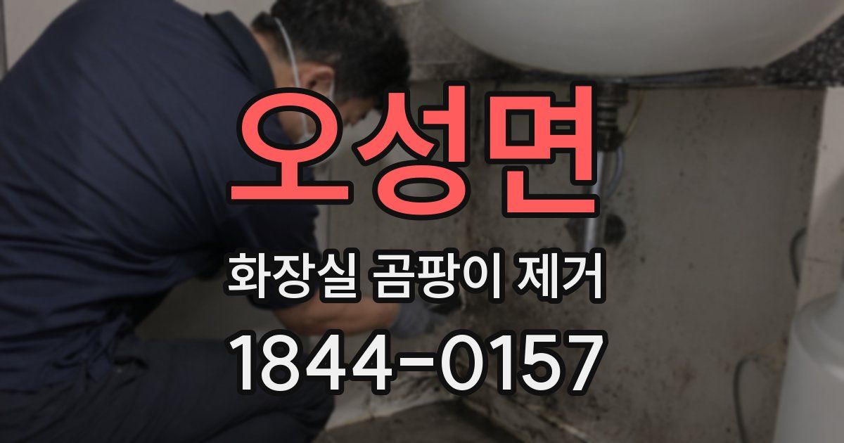 오성면 화장실 곰팡이 제거