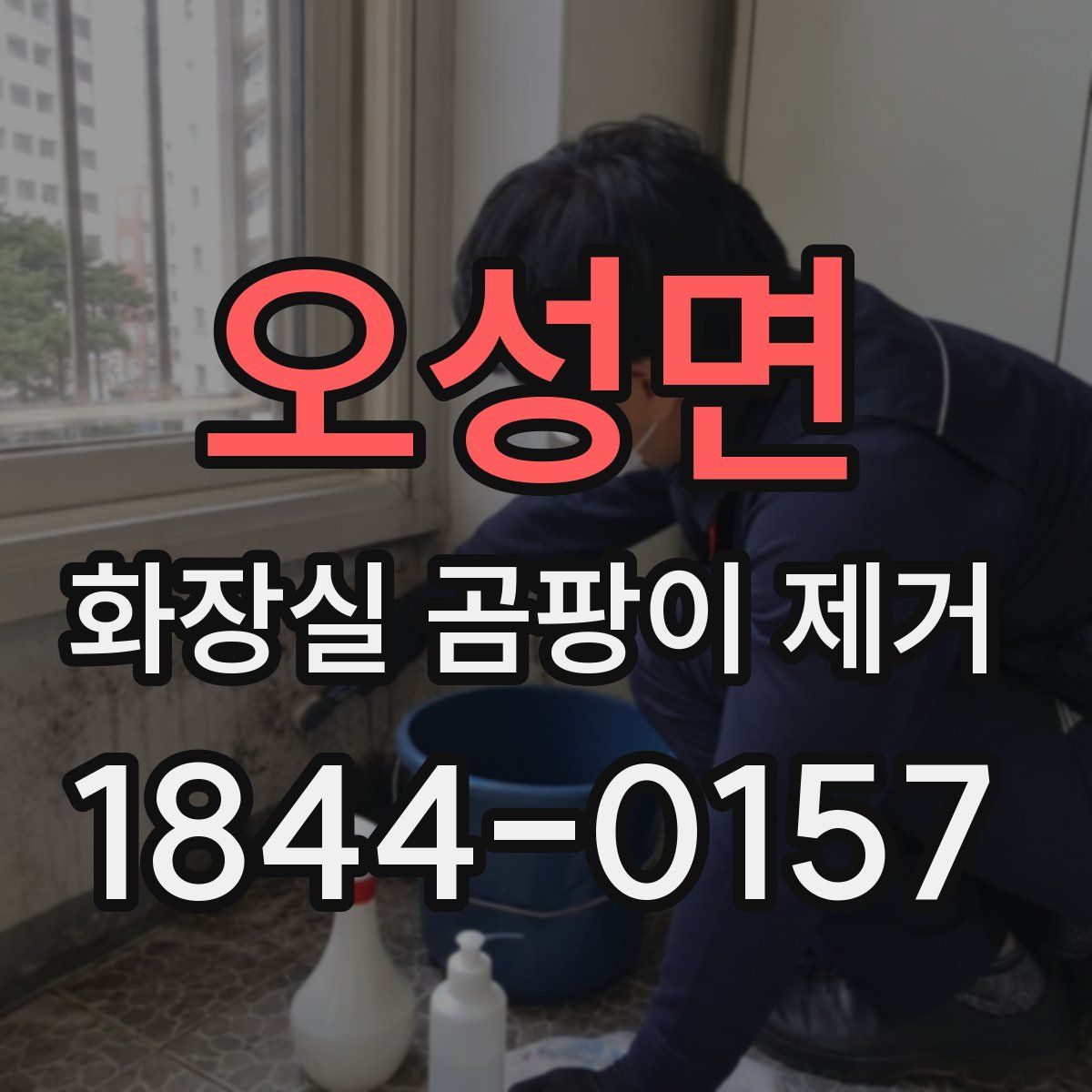 오성면 화장실 곰팡이 제거