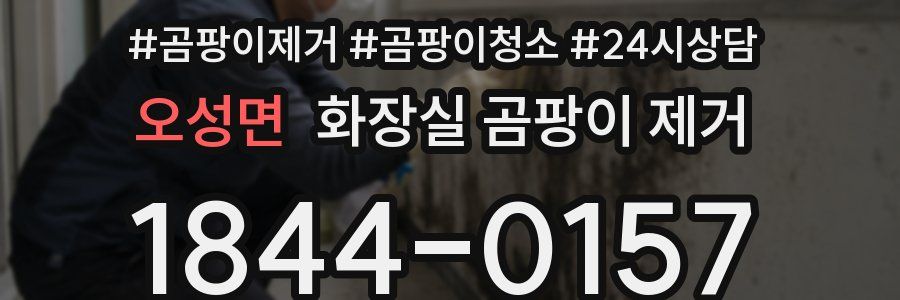 오성면 화장실 곰팡이 제거