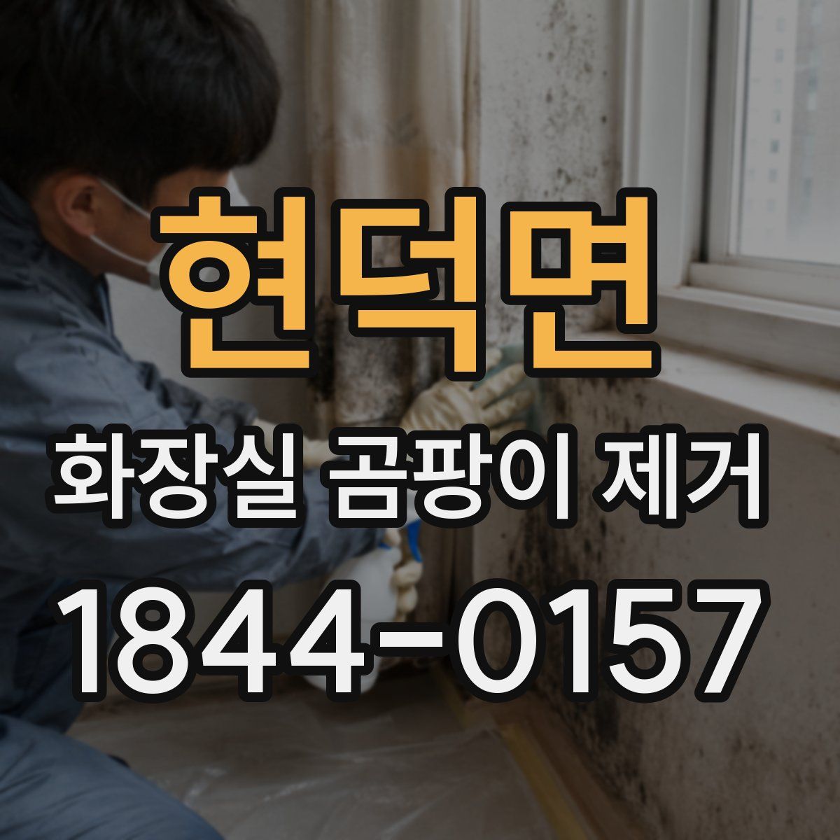 현덕면 화장실 곰팡이 제거