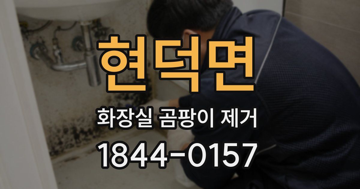 현덕면 화장실 곰팡이 제거