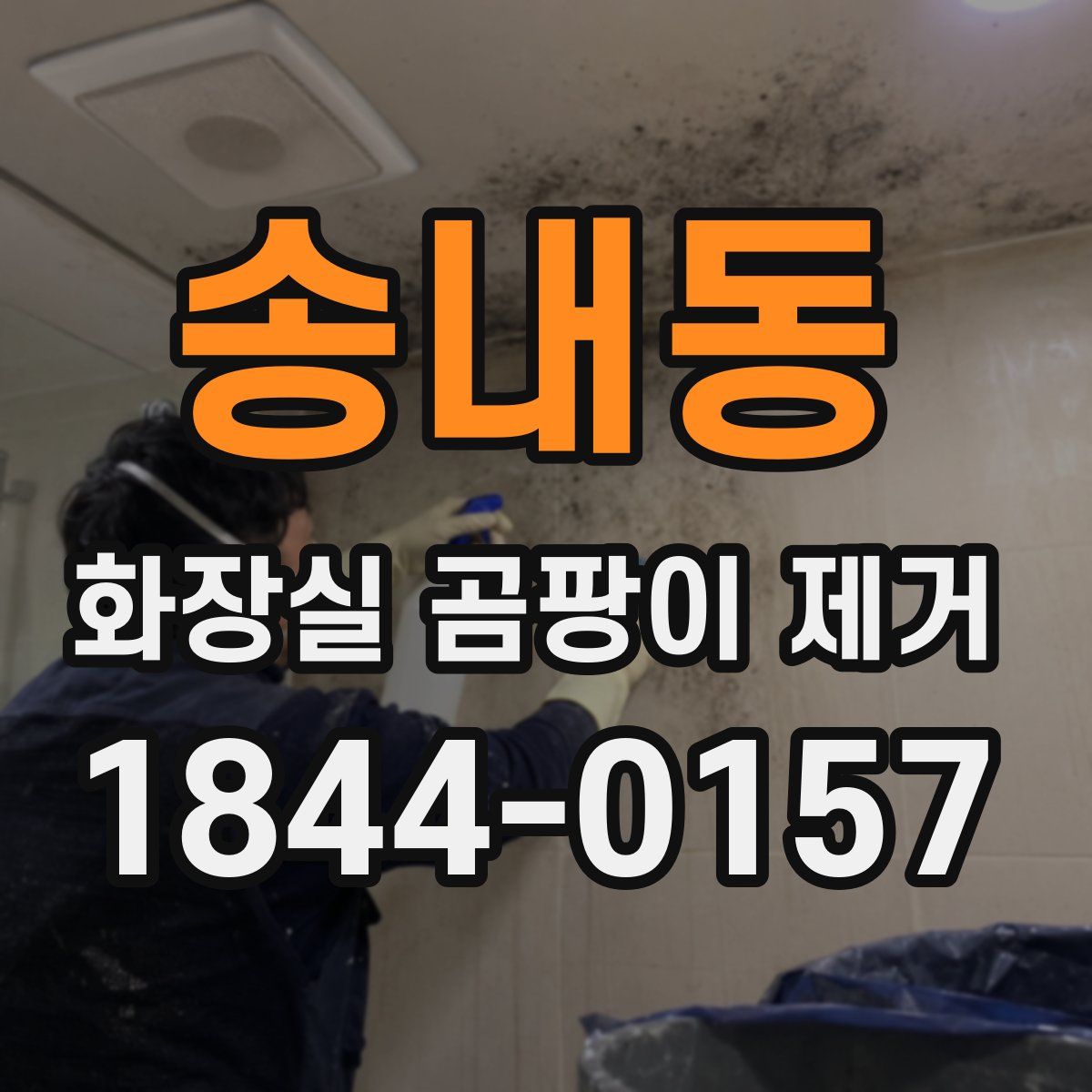송내동 화장실 곰팡이 제거