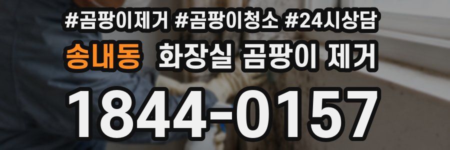 송내동 화장실 곰팡이 제거