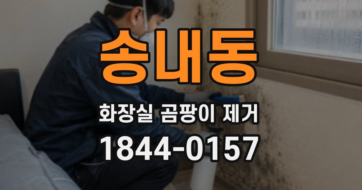 송내동 화장실 곰팡이 제거