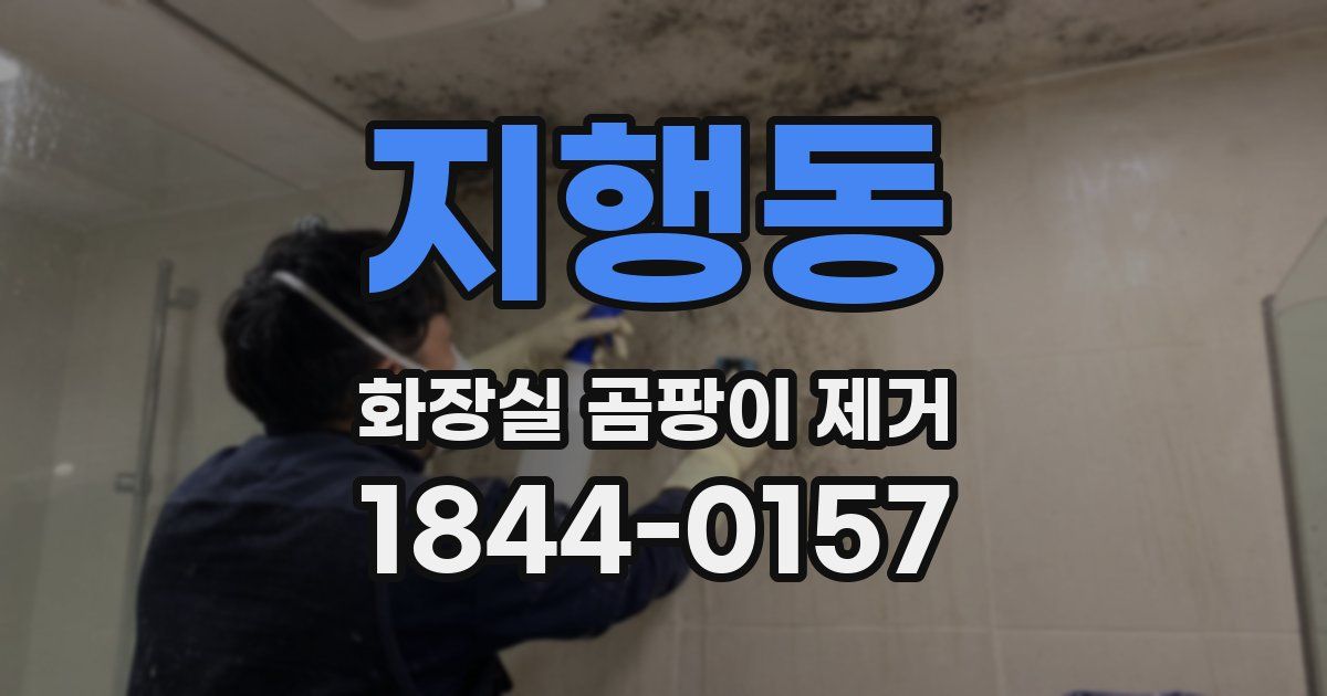 지행동 화장실 곰팡이 제거