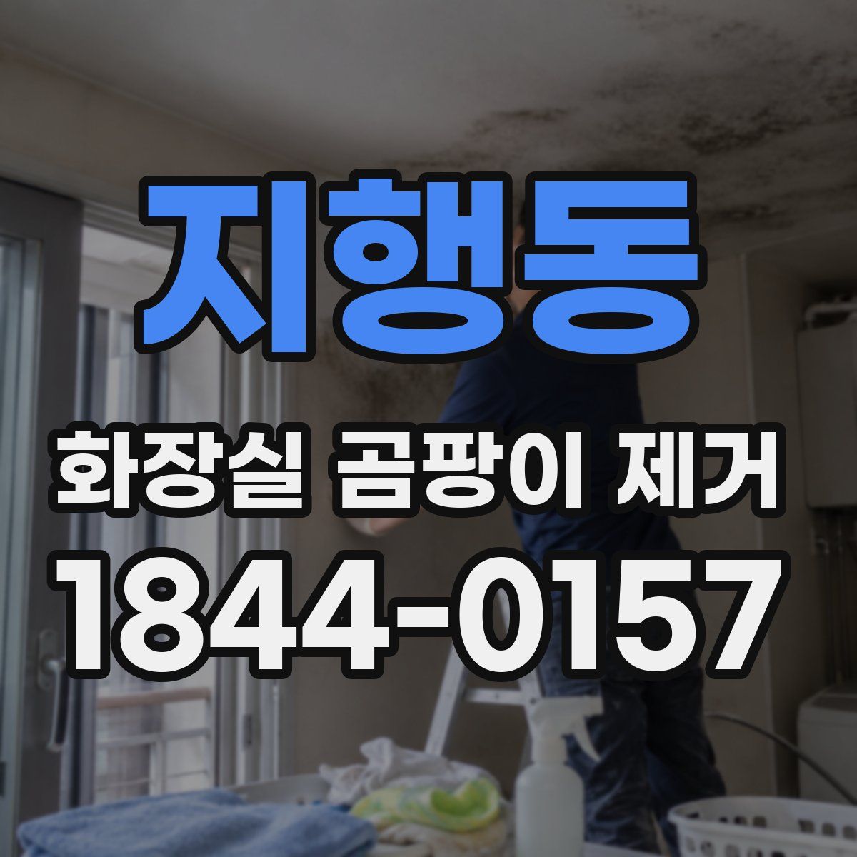 지행동 화장실 곰팡이 제거