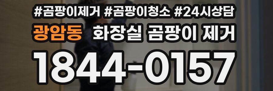 광암동 화장실 곰팡이 제거
