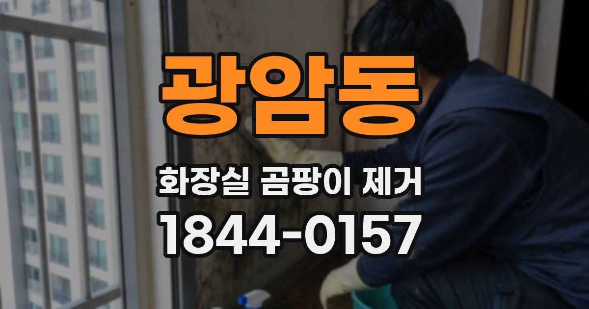 광암동 화장실 곰팡이 제거