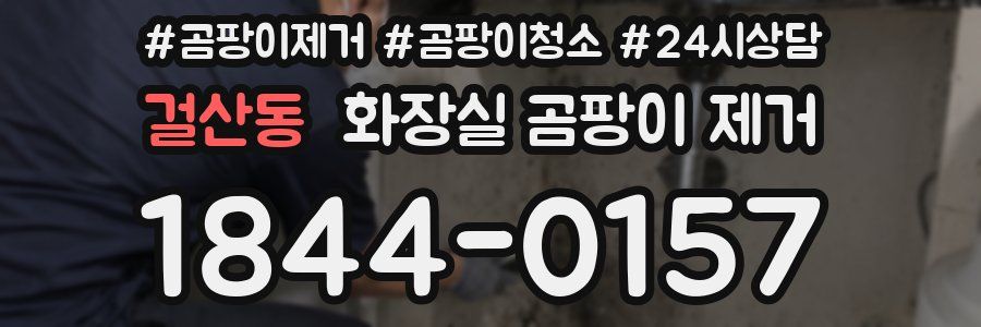 걸산동 화장실 곰팡이 제거