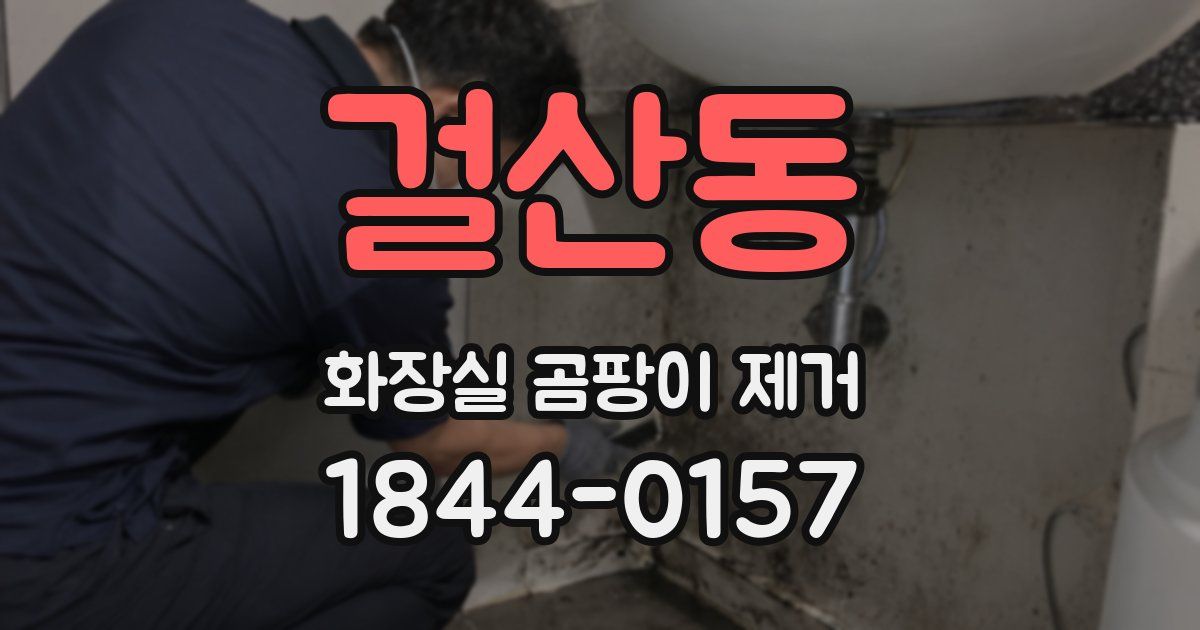 걸산동 화장실 곰팡이 제거