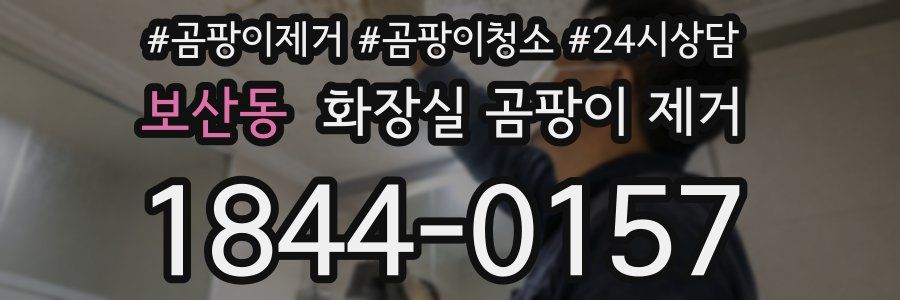 보산동 화장실 곰팡이 제거