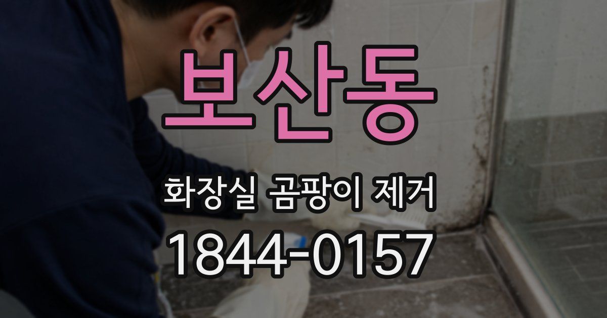 보산동 화장실 곰팡이 제거
