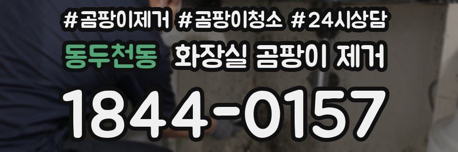 동두천동 화장실 곰팡이 제거