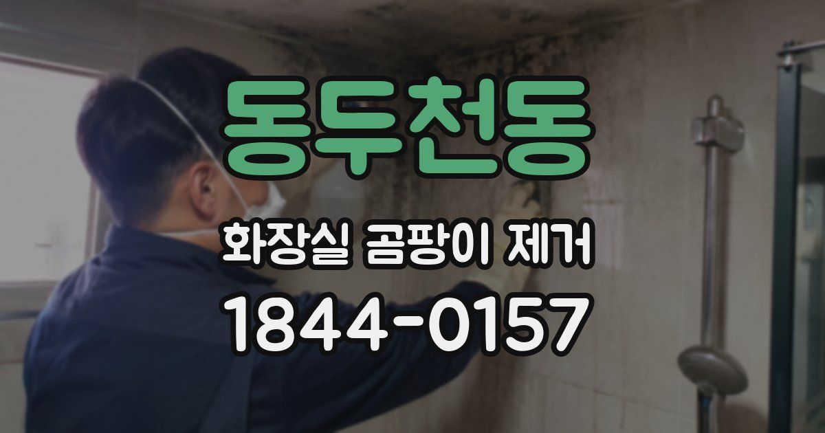 동두천동 화장실 곰팡이 제거
