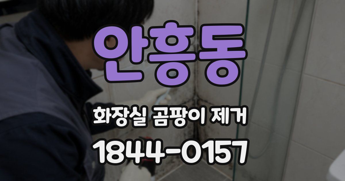 안흥동 화장실 곰팡이 제거