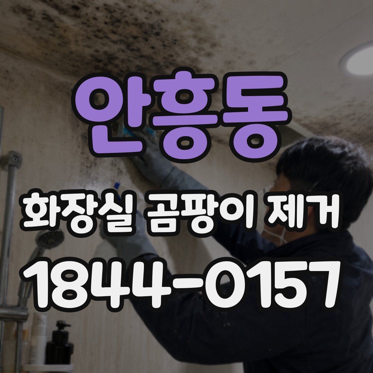안흥동 화장실 곰팡이 제거