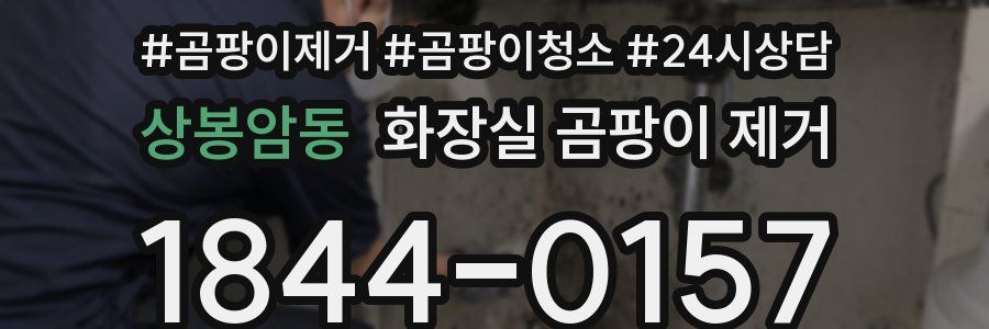상봉암동 화장실 곰팡이 제거