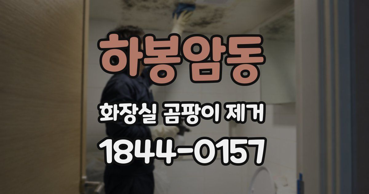 하봉암동 화장실 곰팡이 제거
