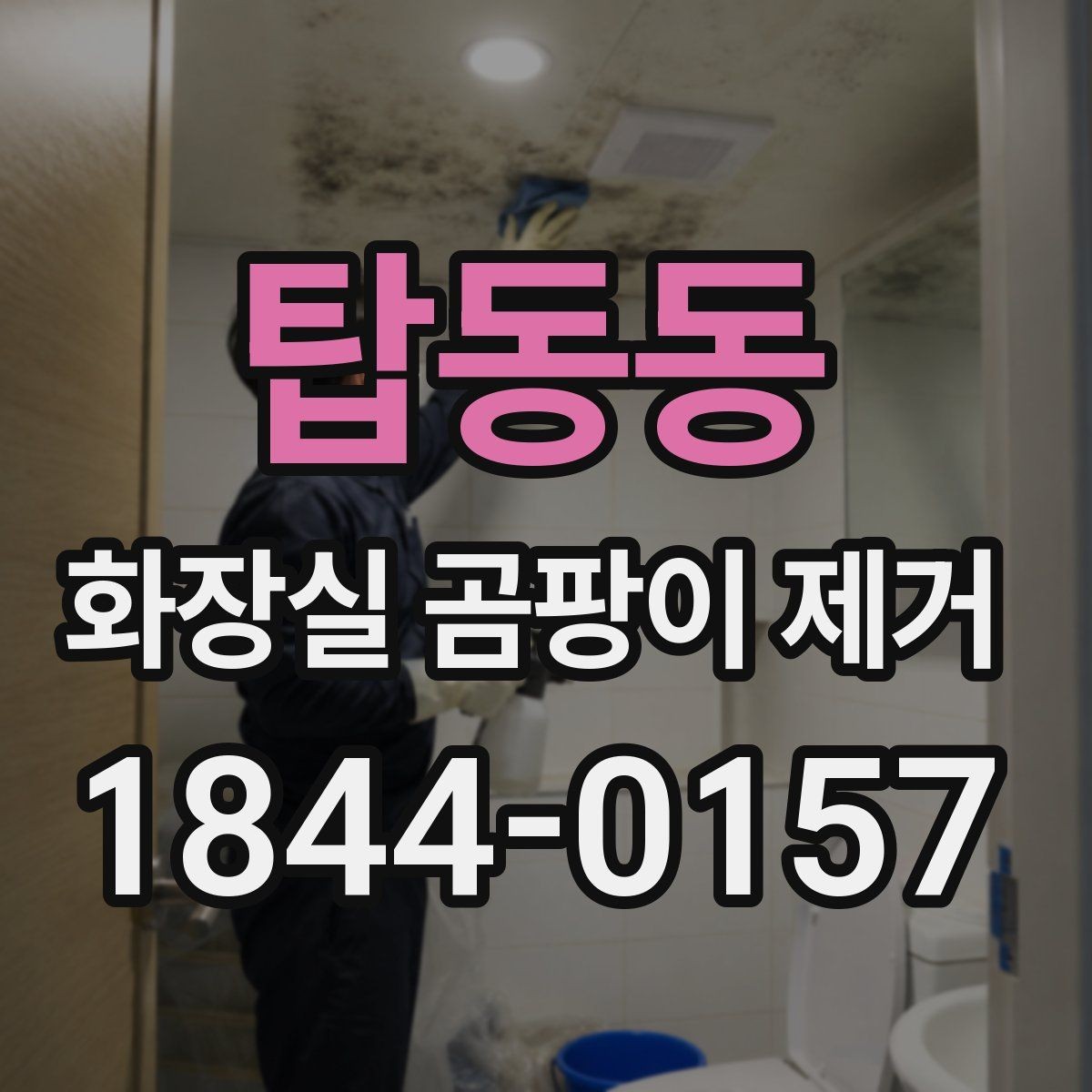 탑동동 화장실 곰팡이 제거 오래된 얼룩과 새 오염이 다르게 보이는 이유