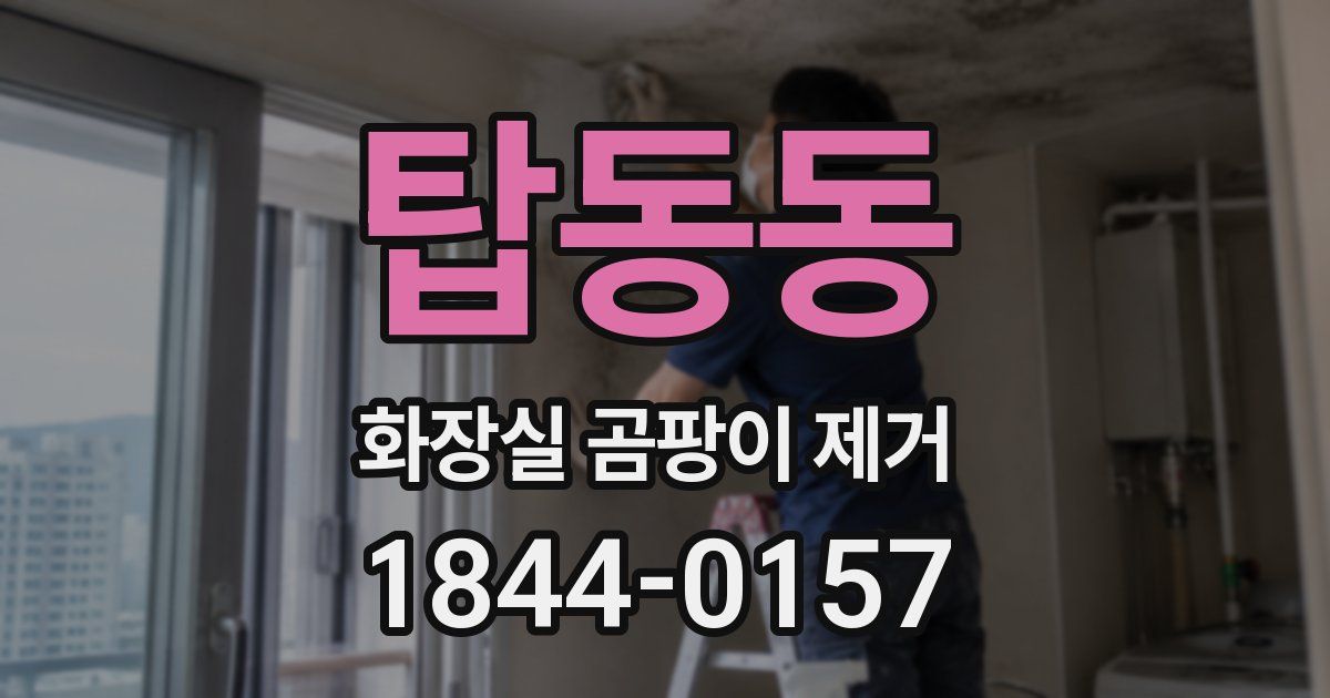 탑동동 화장실 곰팡이 제거