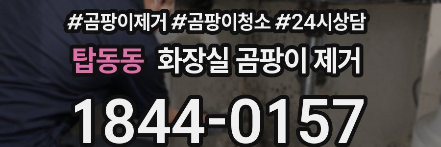 탑동동 화장실 곰팡이 제거