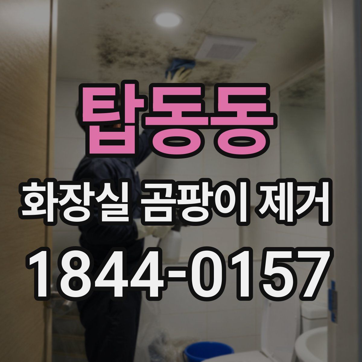 탑동동 화장실 곰팡이 제거