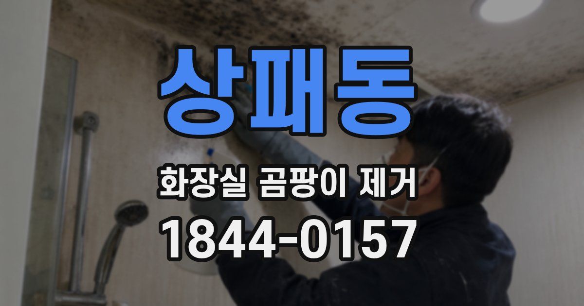 상패동 화장실 곰팡이 제거
