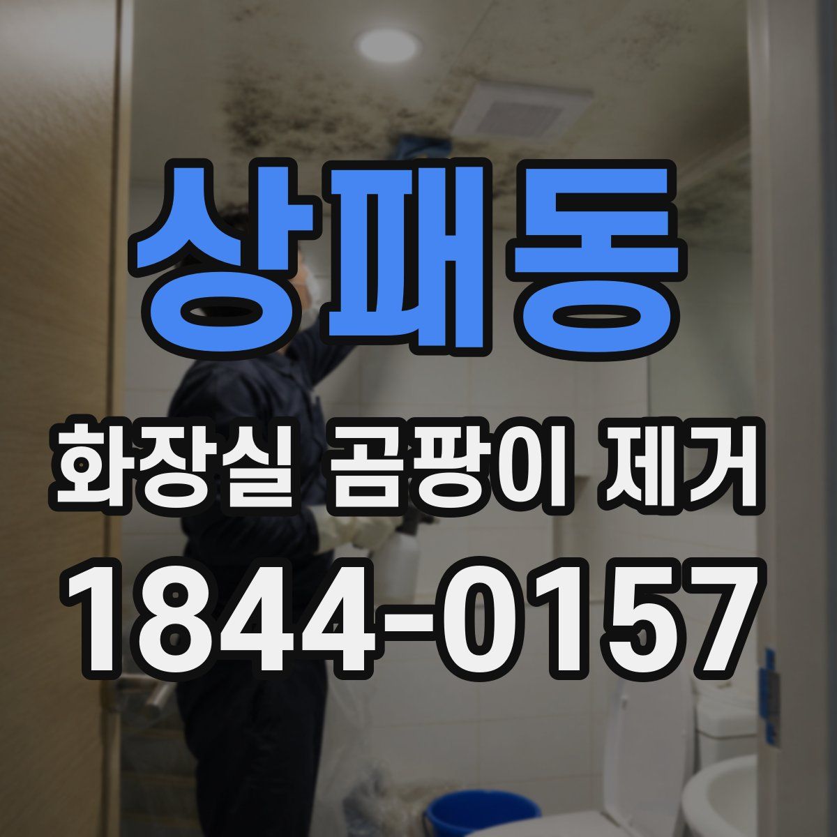 상패동 화장실 곰팡이 제거