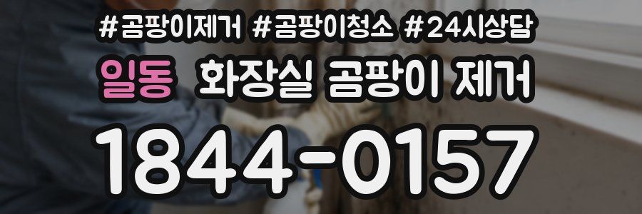 일동 화장실 곰팡이 제거
