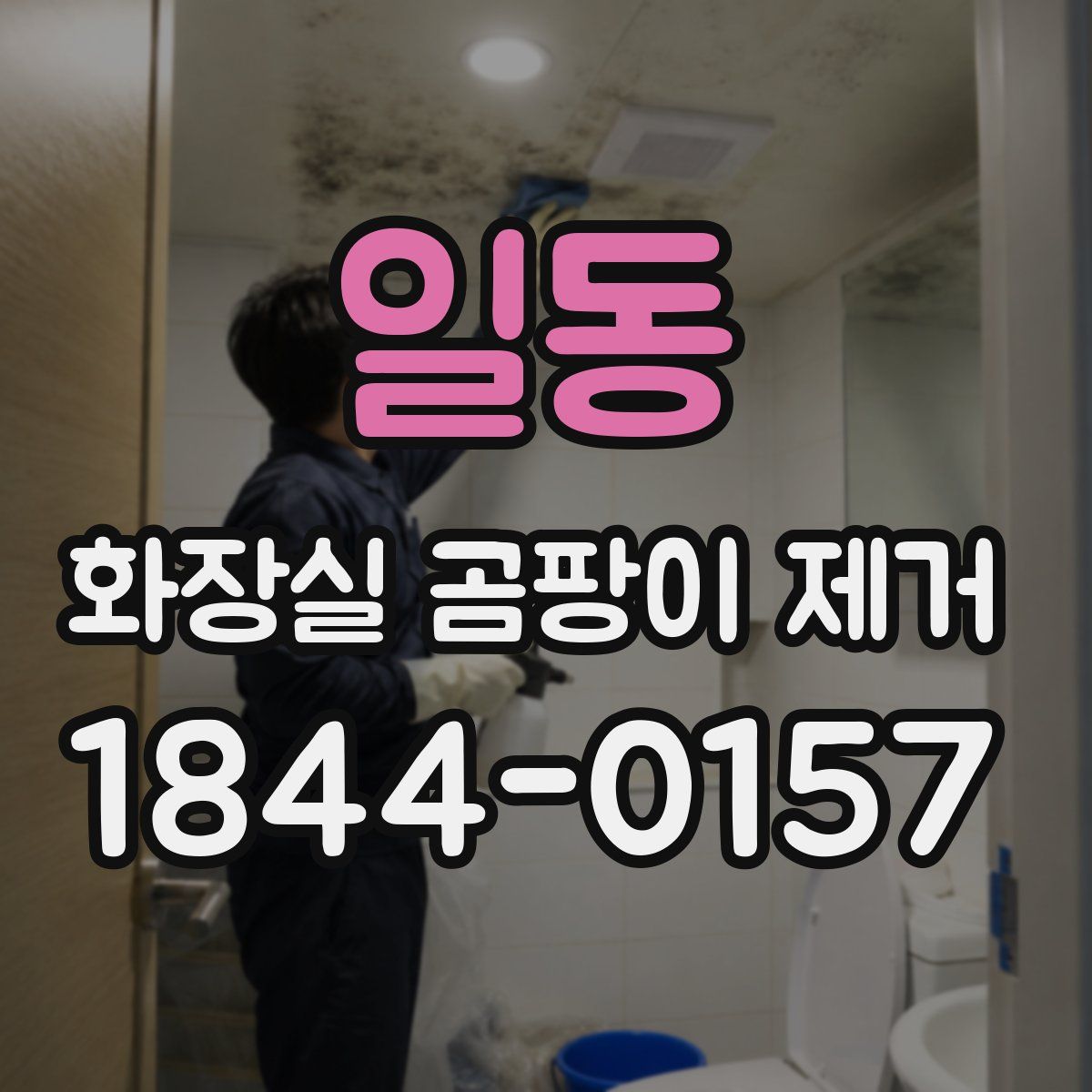 일동 화장실 곰팡이 제거