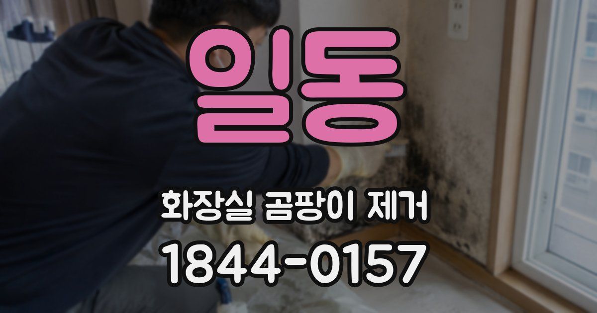 일동 화장실 곰팡이 제거