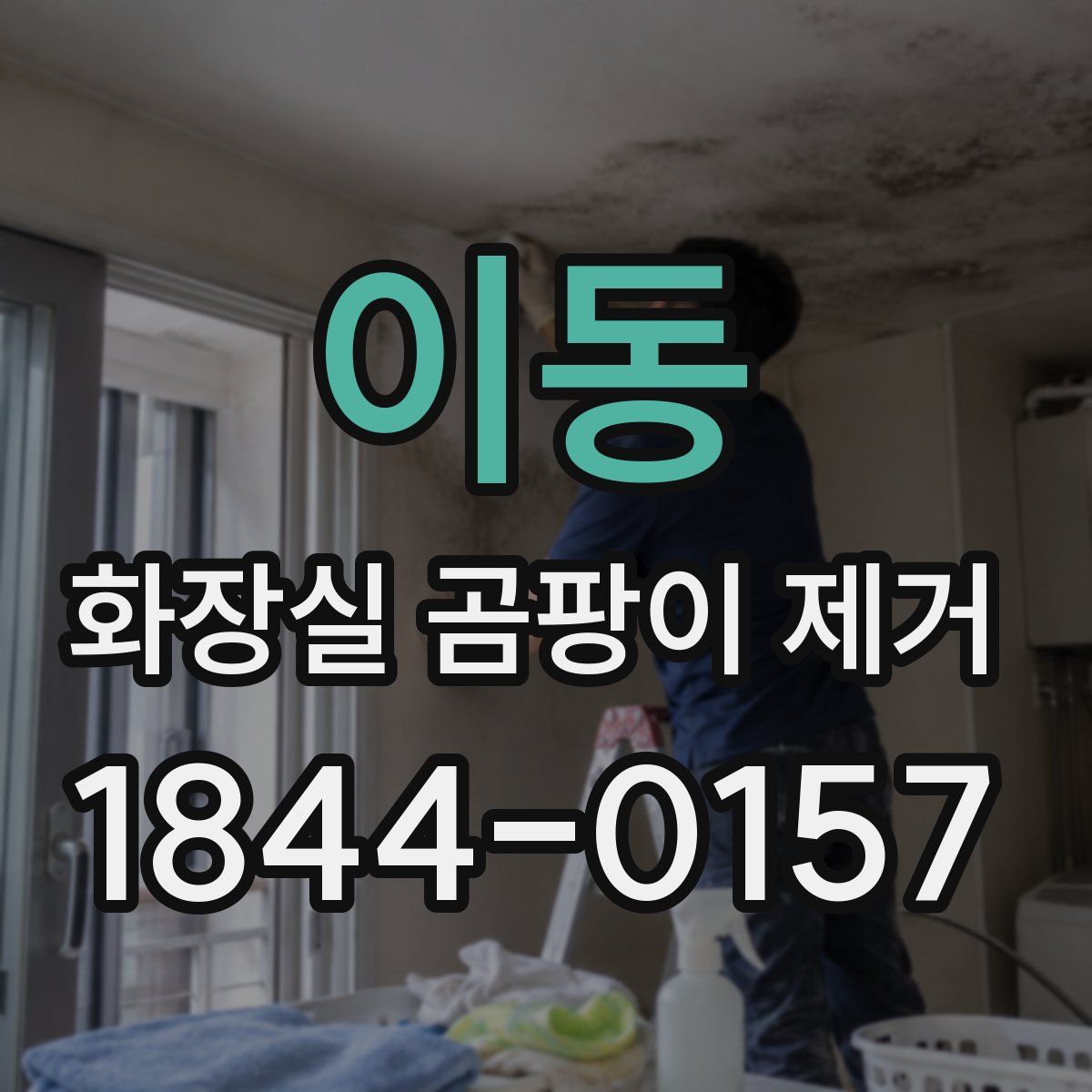 이동 화장실 곰팡이 제거