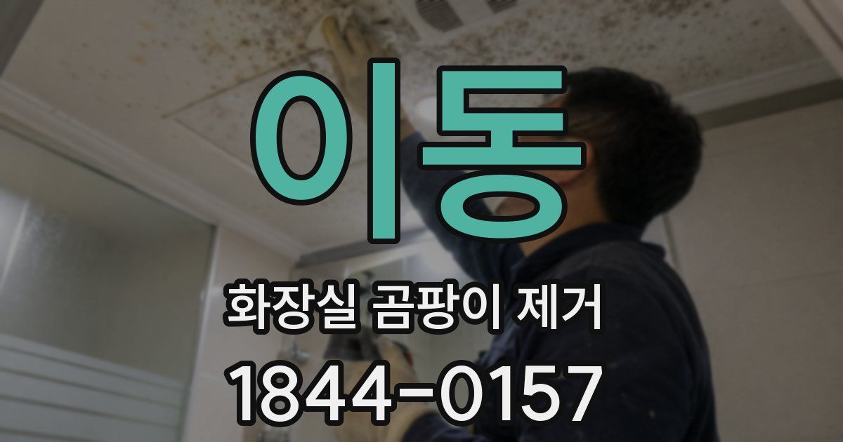 이동 화장실 곰팡이 제거