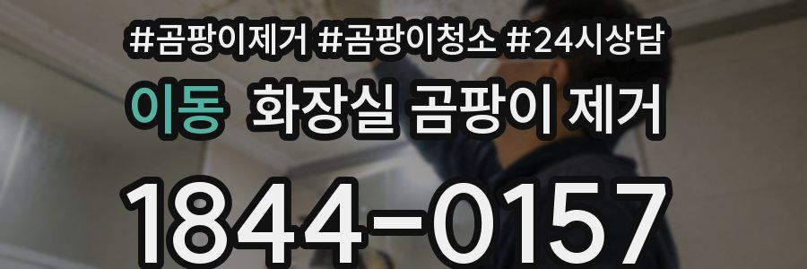 이동 화장실 곰팡이 제거
