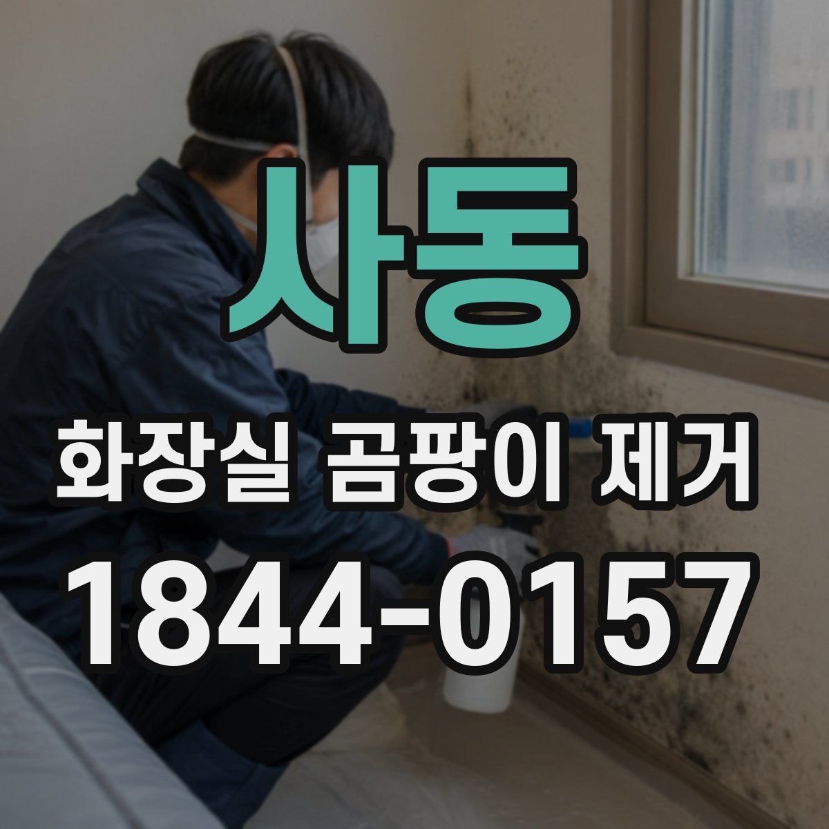 사동 화장실 곰팡이 제거
