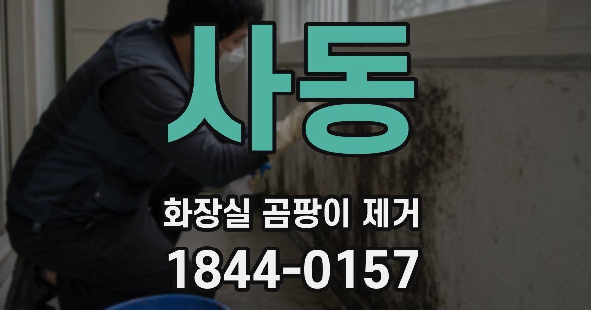 사동 화장실 곰팡이 제거