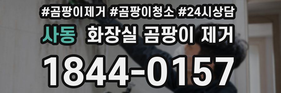 사동 화장실 곰팡이 제거