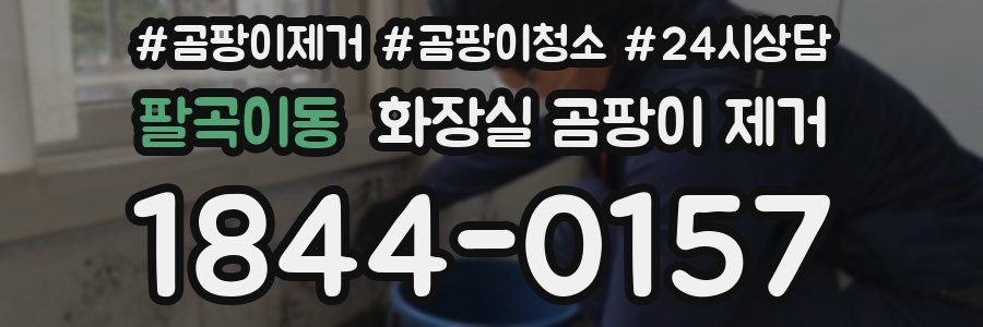 팔곡이동 화장실 곰팡이 제거