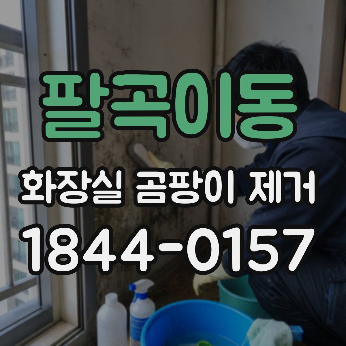팔곡이동 화장실 곰팡이 제거