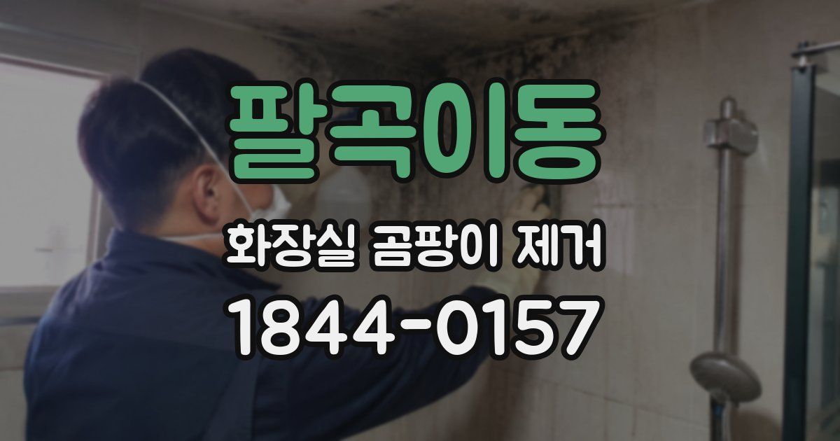 팔곡이동 화장실 곰팡이 제거