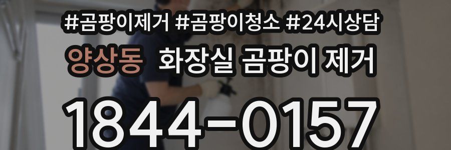 양상동 화장실 곰팡이 제거