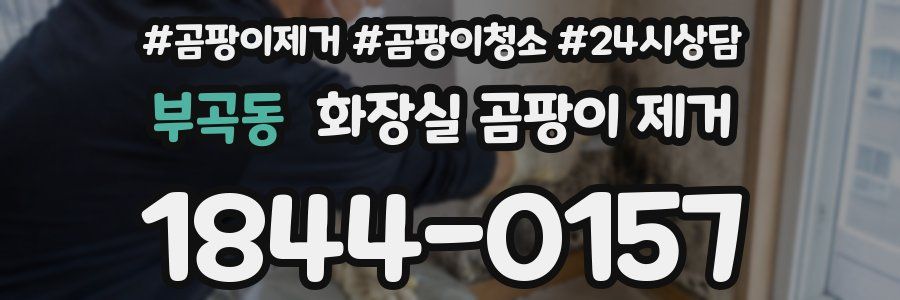 부곡동 화장실 곰팡이 제거