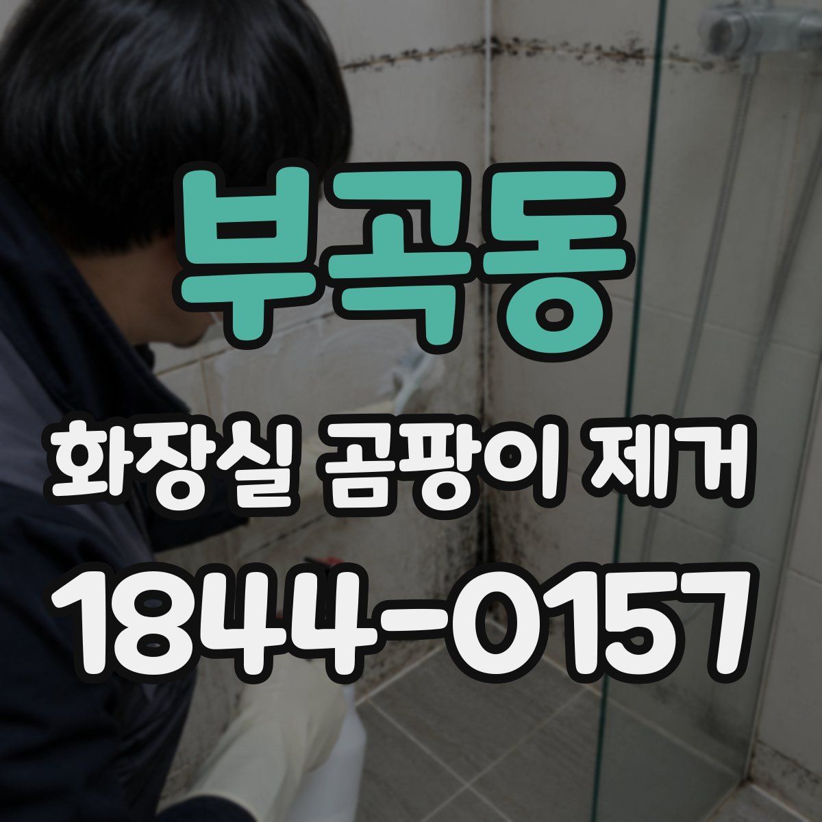 부곡동 화장실 곰팡이 제거
