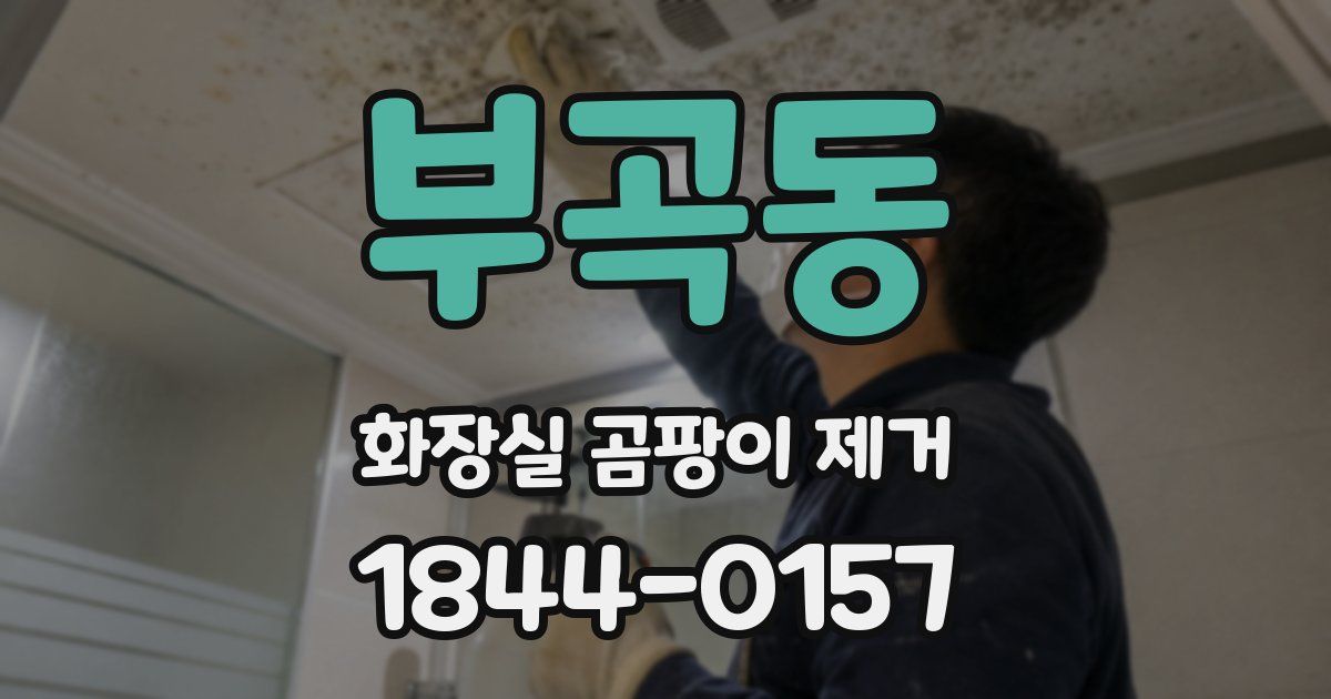 부곡동 화장실 곰팡이 제거