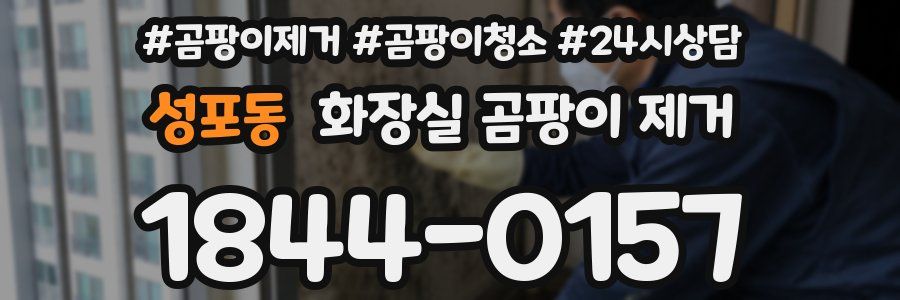 성포동 화장실 곰팡이 제거