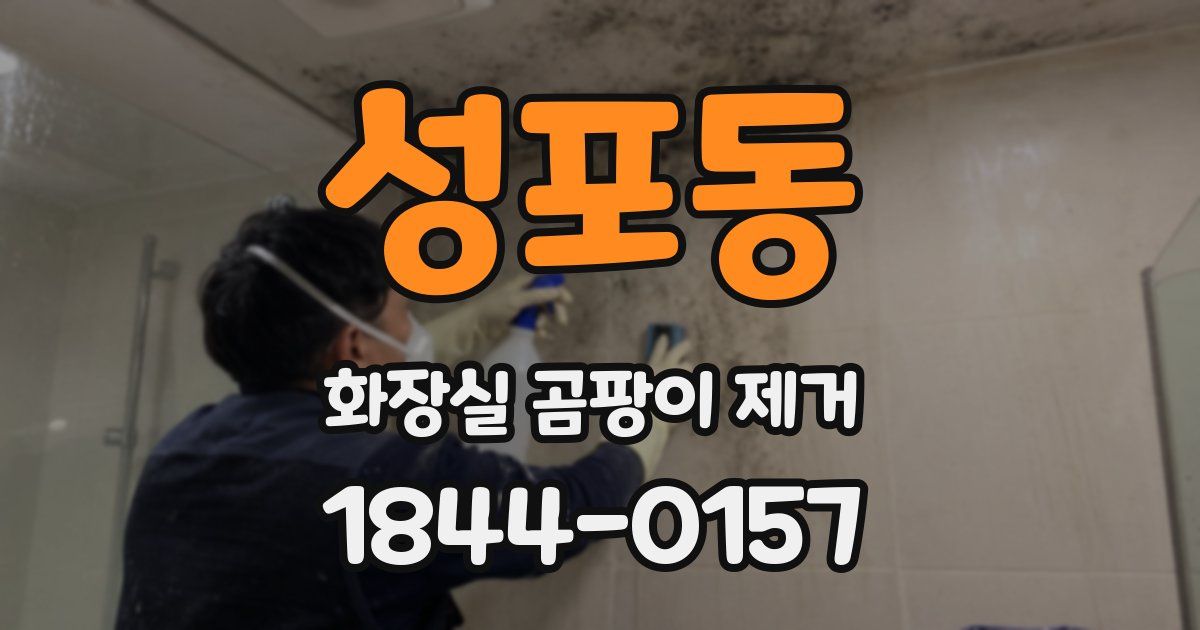 성포동 화장실 곰팡이 제거