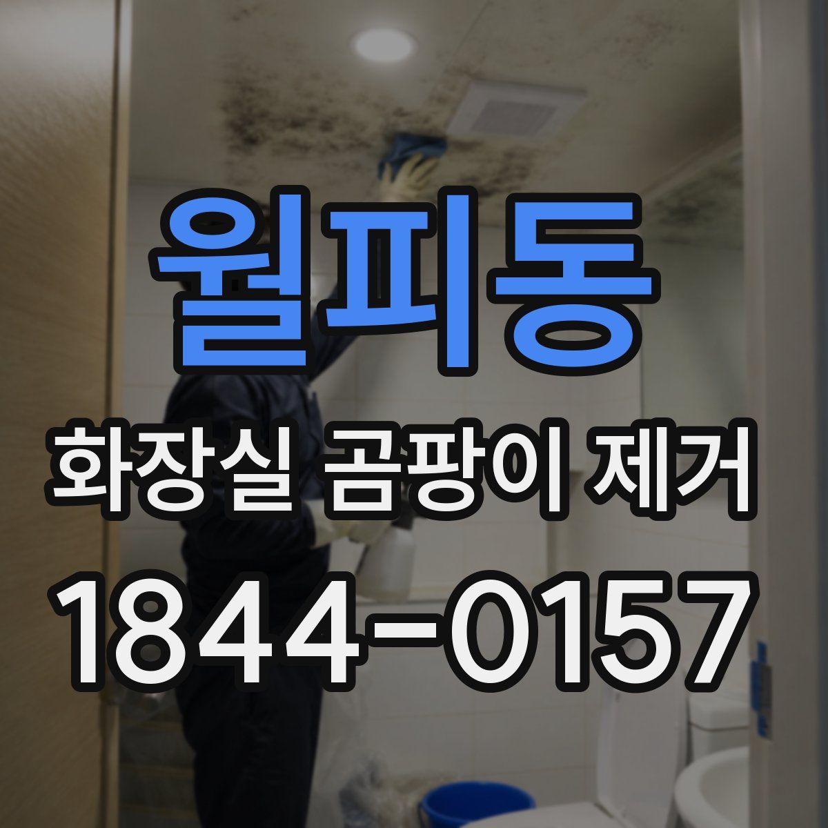 월피동 화장실 곰팡이 제거