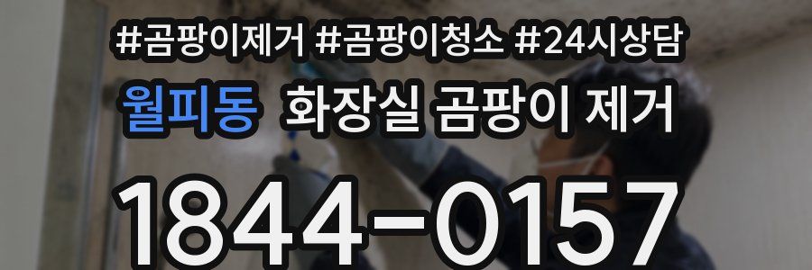 월피동 화장실 곰팡이 제거